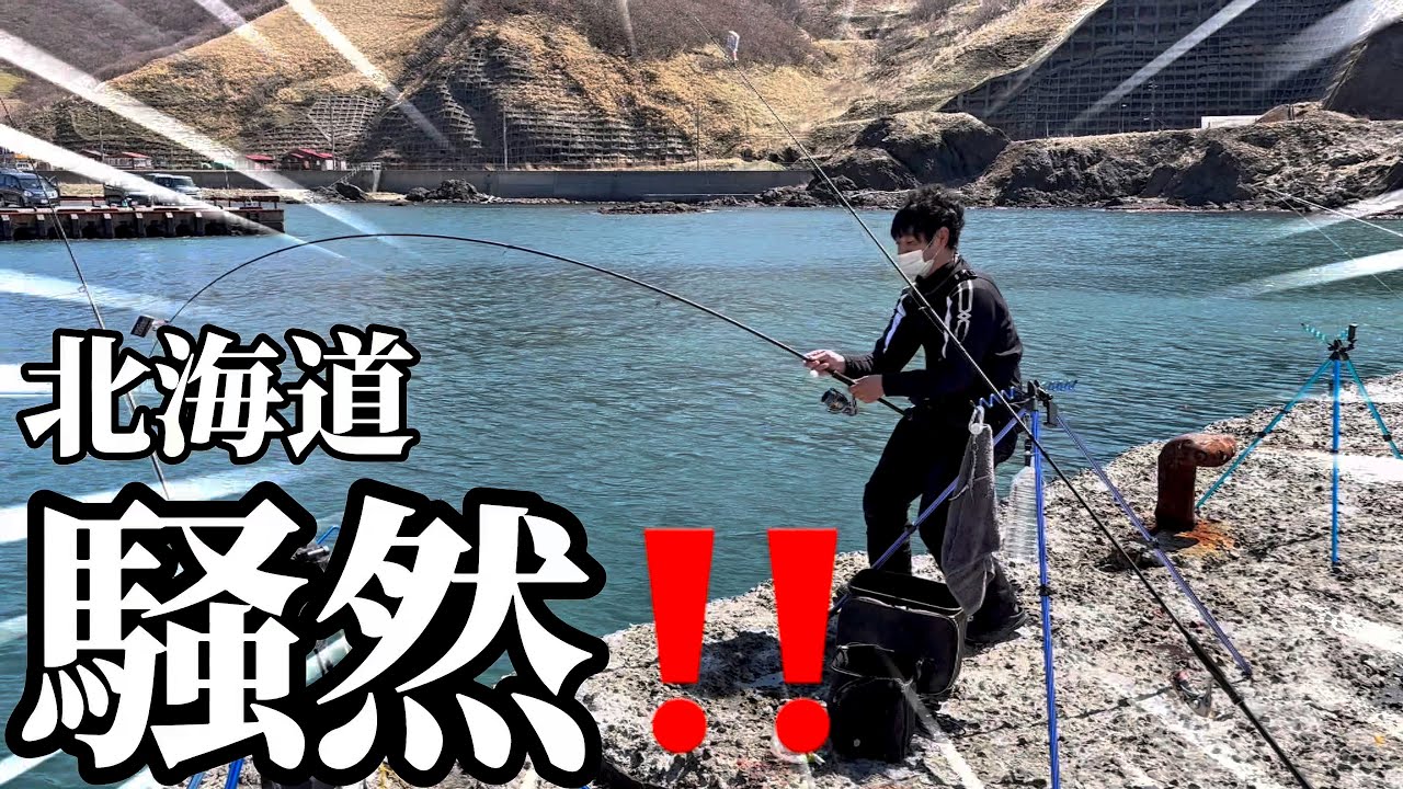 【爆釣】【釣り】大爆釣に港内激震！！大群が押し寄せる