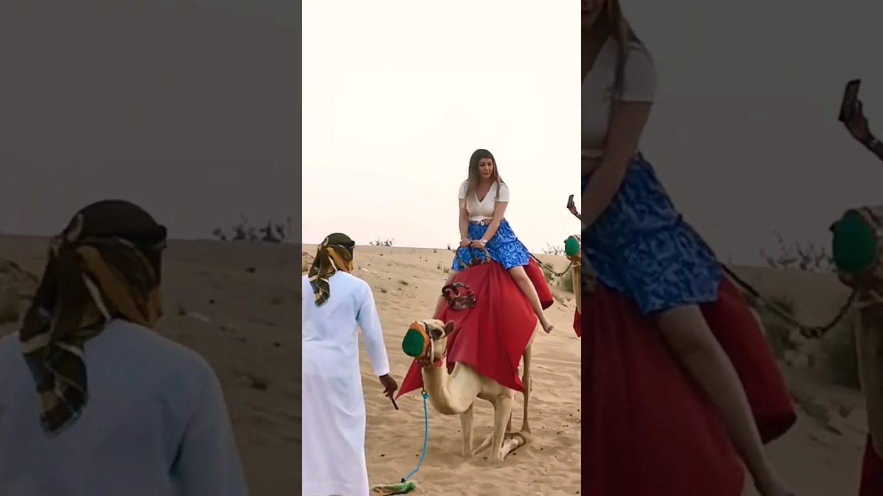 camel ride att the desert safari camp Al Aweer village Dubai 🏜️ #desertsafaridxbme #camel #dubai