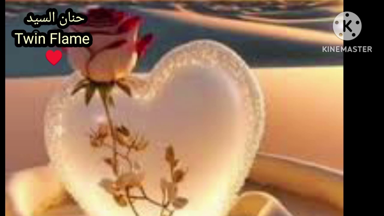 حال الهارب صحوة دينيه ورجوع متزن ومطارد توأم الشعلة عليش قصة حب جديده 🙆♾️