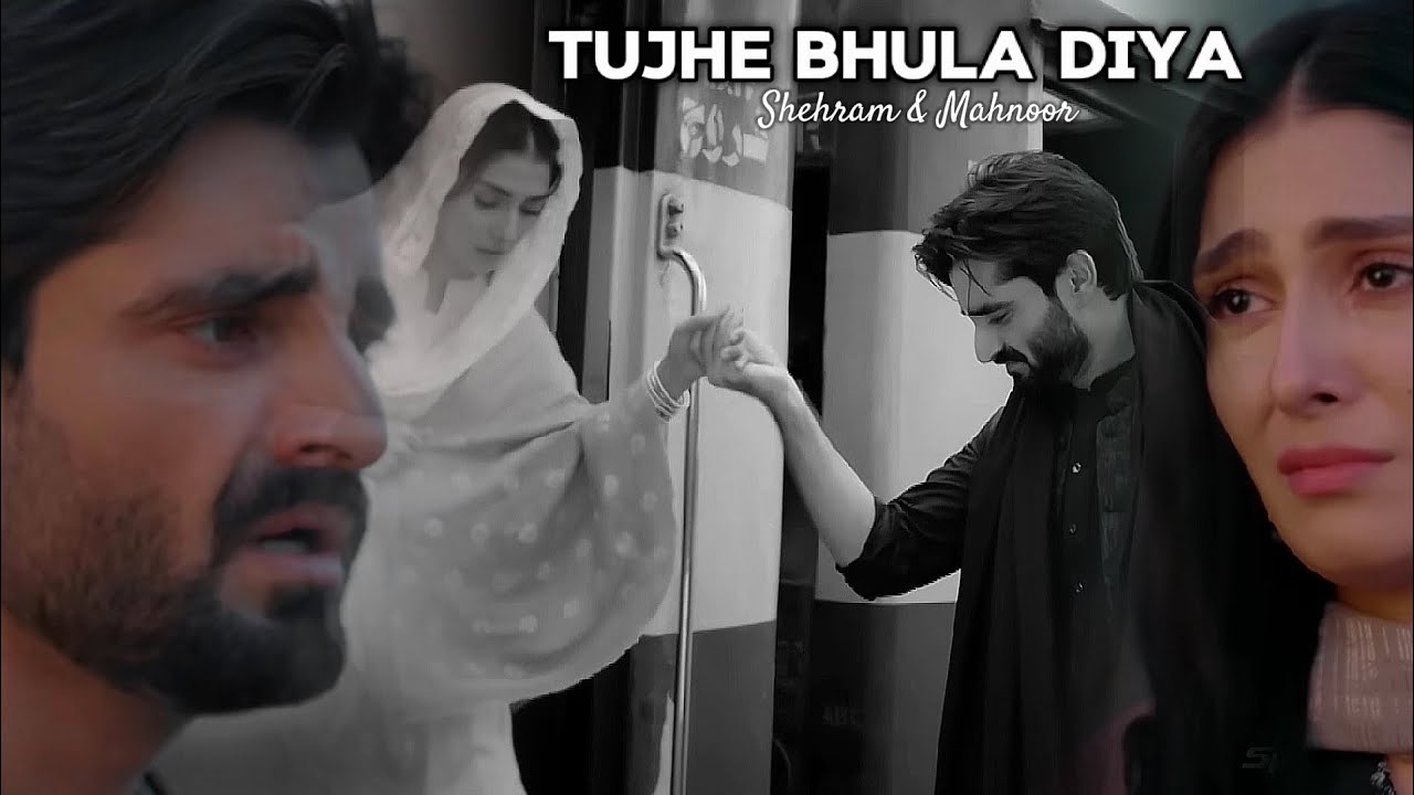 Tujhe Bhula Diya || Shehram & Mahnoor