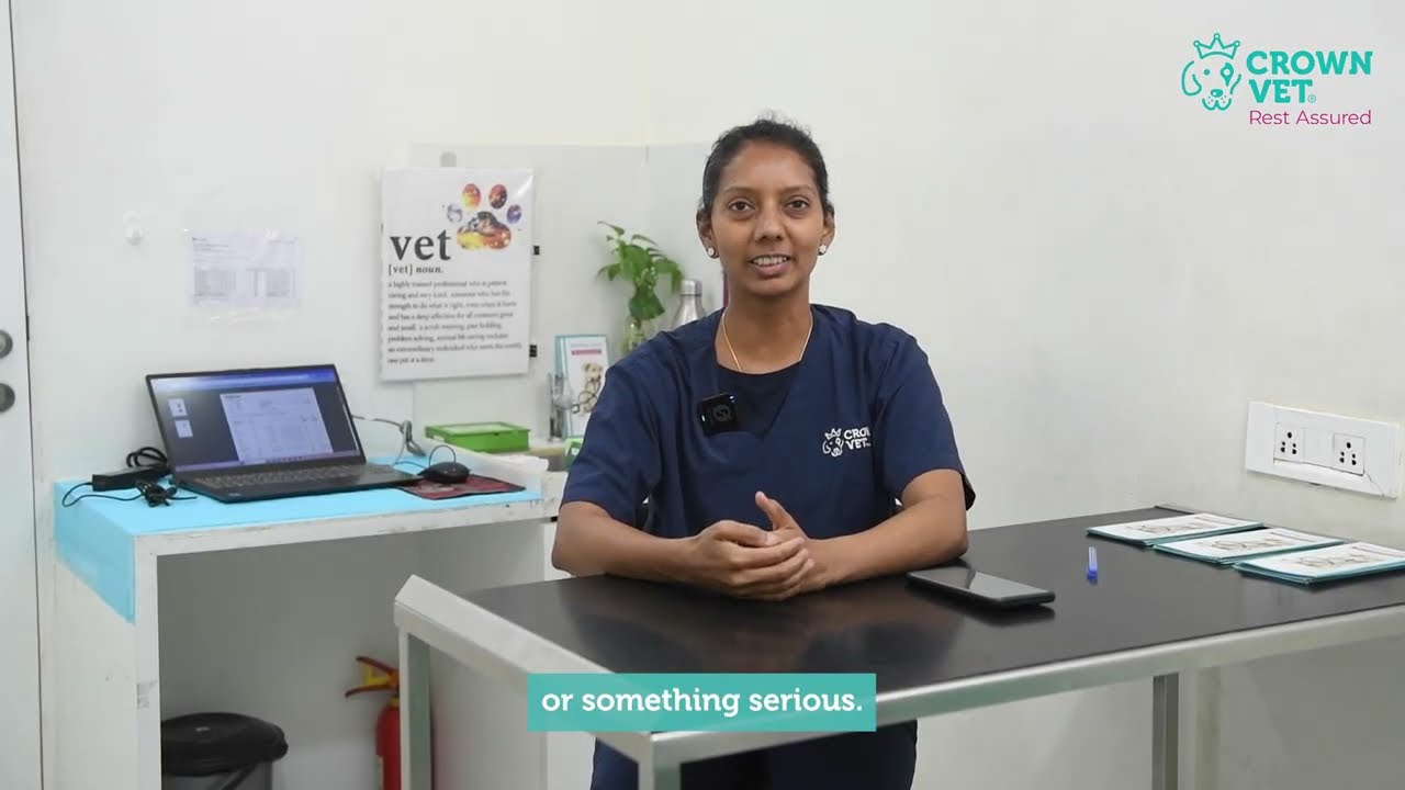 Dr. Nandini on 24/7 Advanced Pet Care | Crown Vet Koramangala