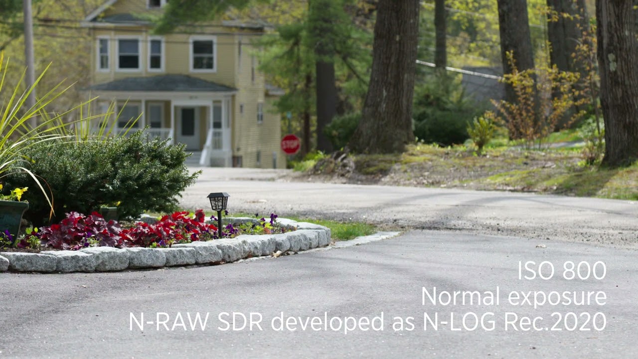 Nikon N-RAW SDR vs LOG test&mdash;all developed as N log
