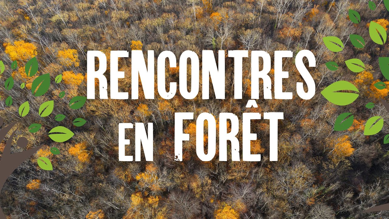 Rencontres en for&ecirc;t de Saint-Germain-en-Laye - Confin&eacute; b&eacute;tonn&eacute;, &eacute;tonn&eacute; d'&eacute;coper