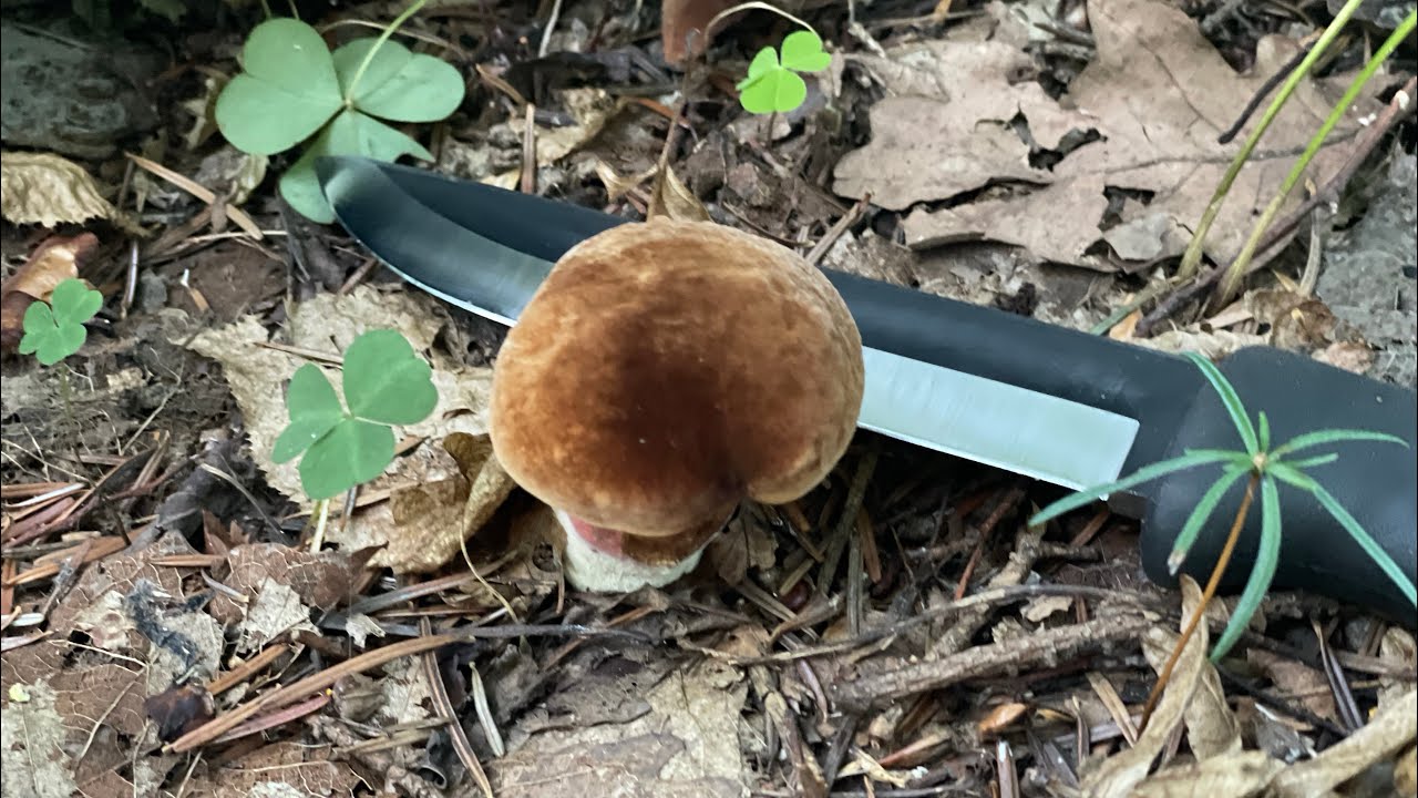 Ter&auml;v&auml; J&auml;&auml;k&auml;ripuukko 140. Dobry budżetowy skandynawski n&oacute;ż na bushcraft i nie tylko.