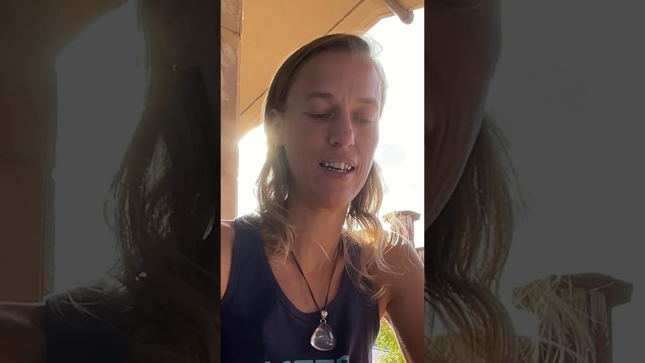 Tom Bearden's 'The Final Secret of Free Energy', short clip from last month's reading