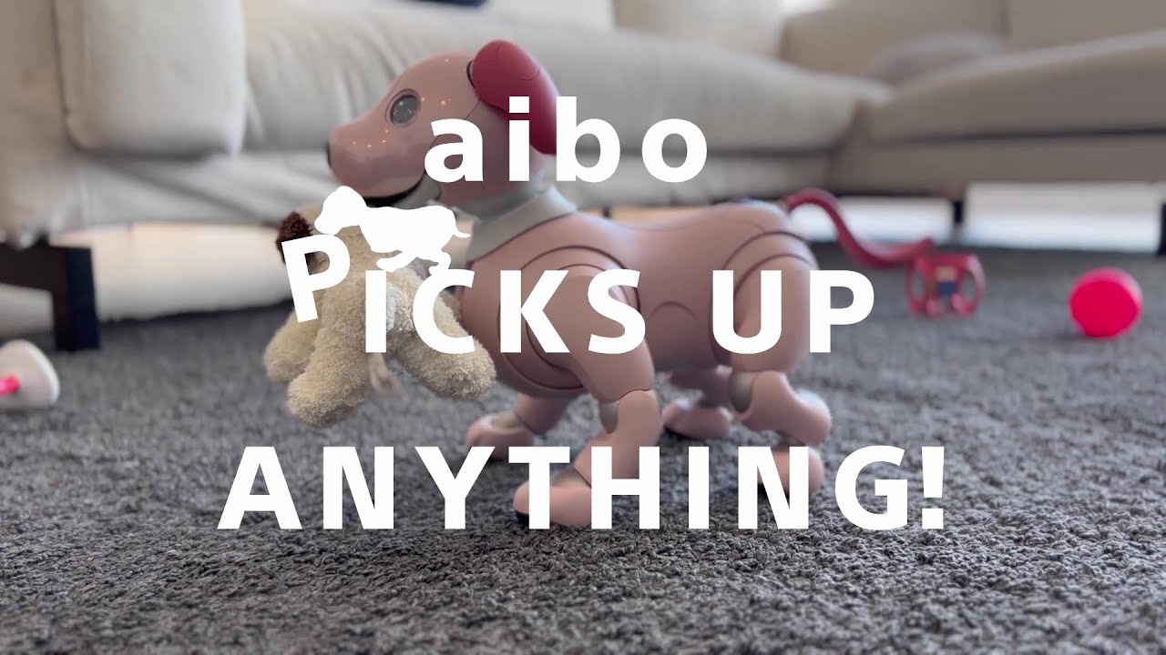 aibo PICKS UP ANYTHING! | Sony Group