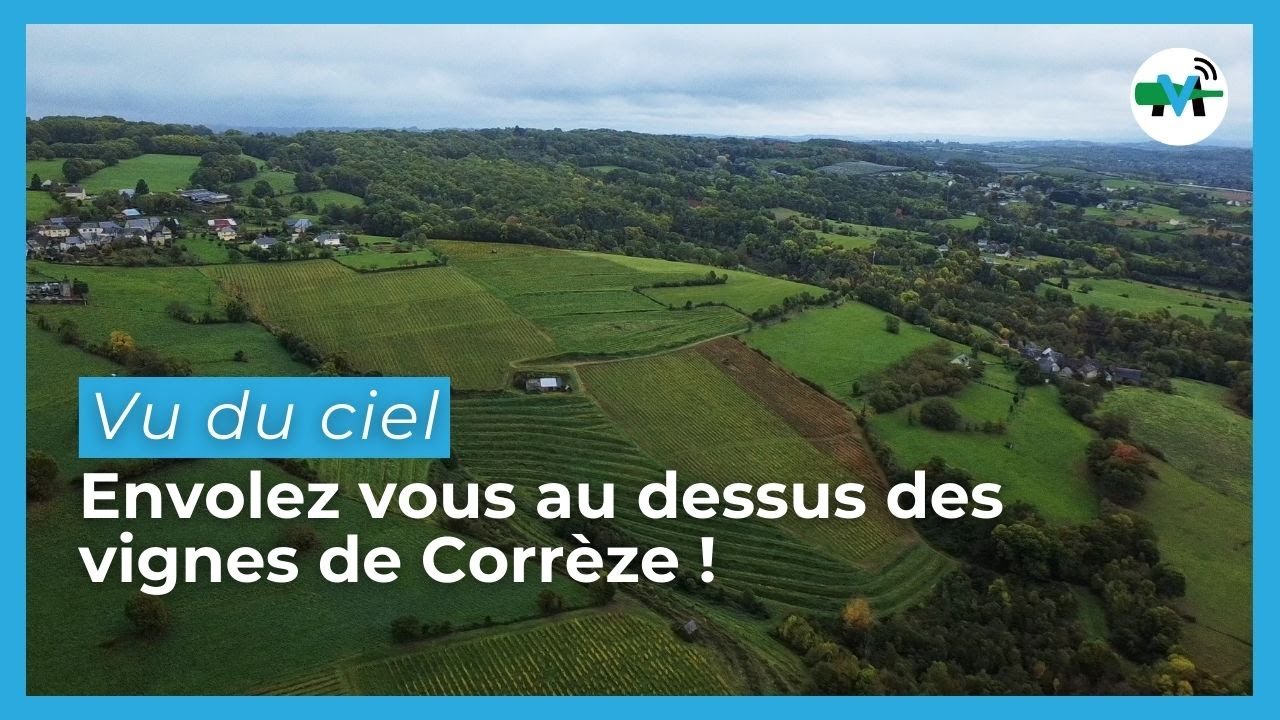 Vu du Ciel, le vignoble corrézien !
