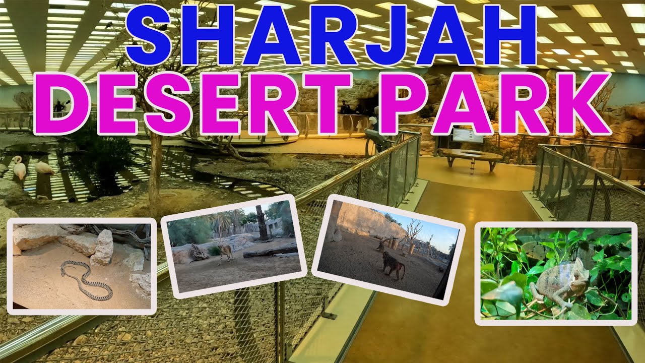 Sharjah Desert Park | 4K | Sharjah Tour