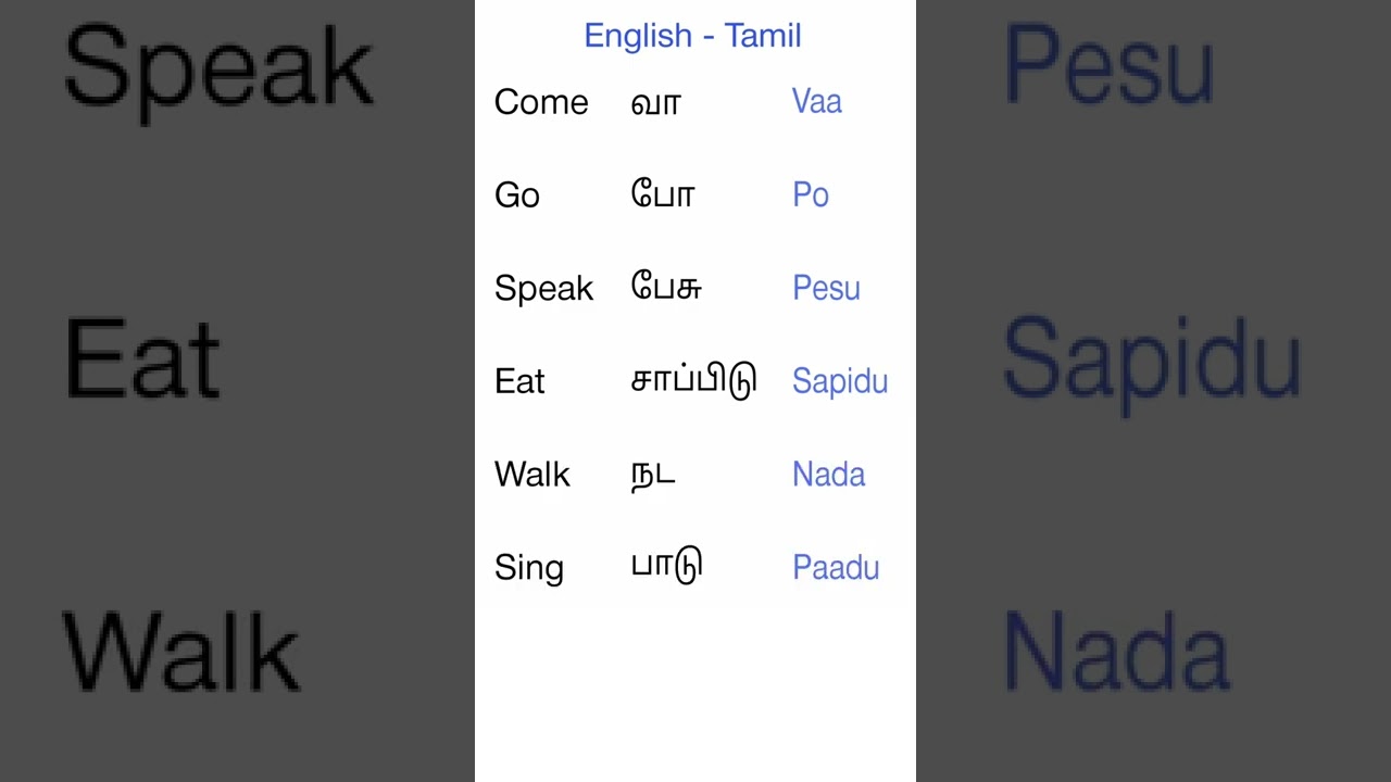 English - Tamil Common Words | Easy Langauge | Learn English Tamil