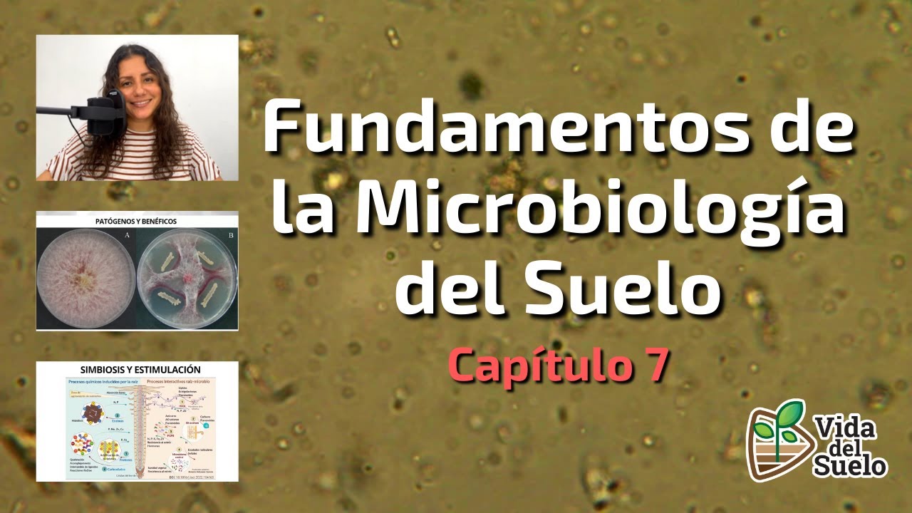 Fundamentos de la Microbiología del Suelo - Capítulo 7 / Armenia Velázquez