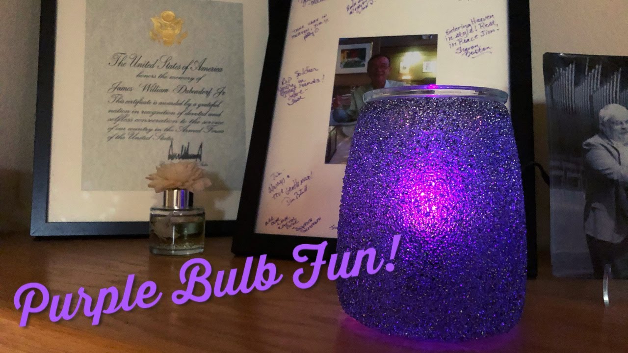 Purple Bulb Fun!