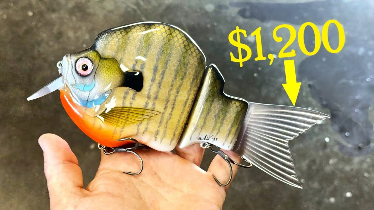 Oversized BlueGill Built for a $1,200 Tail Fin