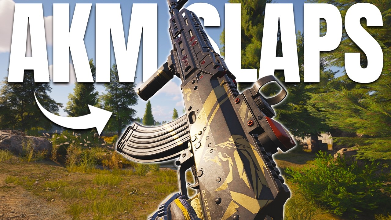 The BEST Budget AKM Build In Arena Breakout Infinite
