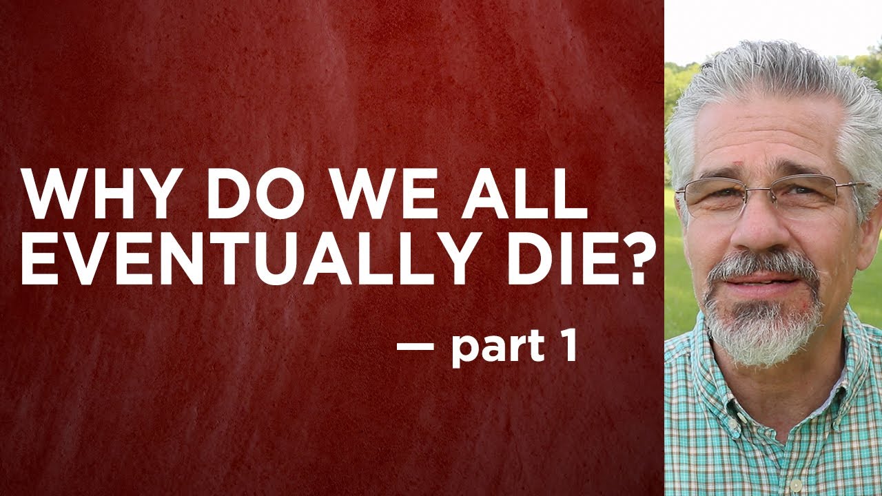 Why Do We All Eventually Die? (Part 1) | Little Lessons with David Servant