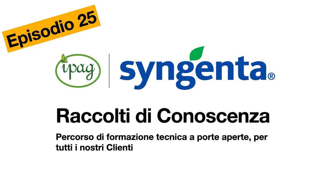 Difesa dalla Peronospora e Diserbo Mais con Syngenta | Raccolti di Conoscenza by Ipag Ep.25
