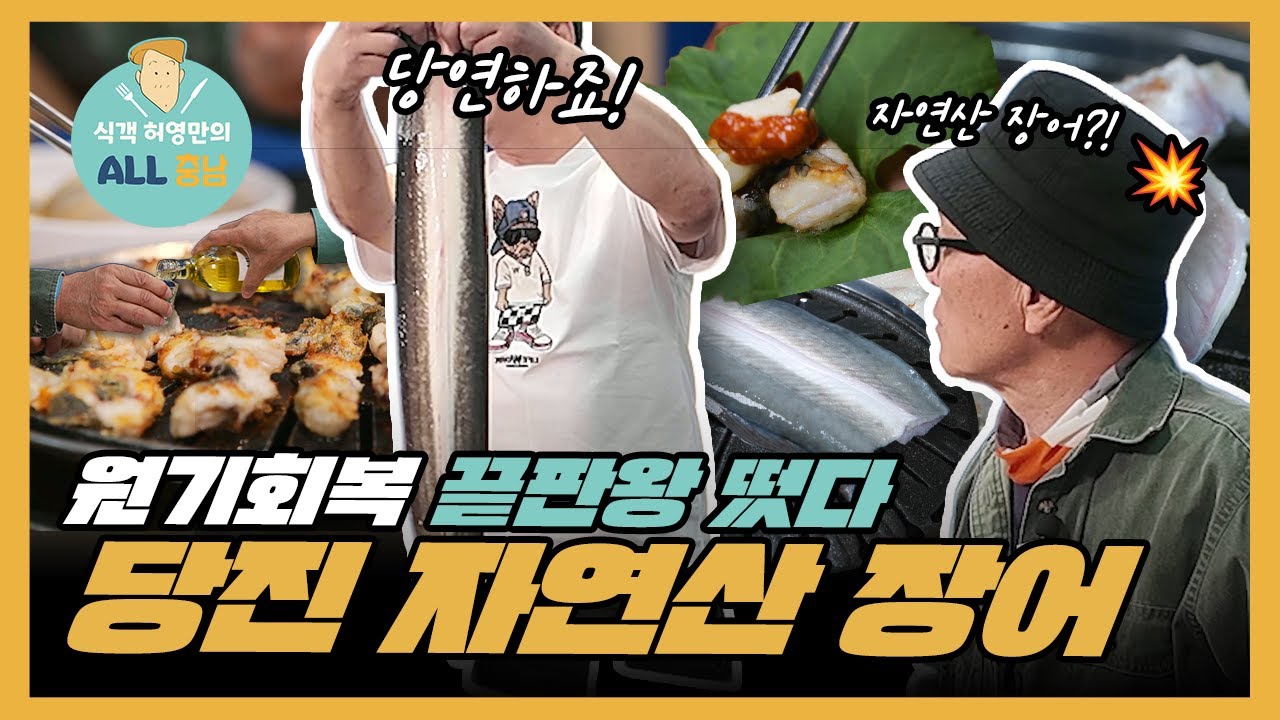 이건 회복템 아니고 회.복.신 ✨️ 당진 자연산 장어 미쳤다 ㄷㄷ| 식객 허영만의 ALL 충남 3화