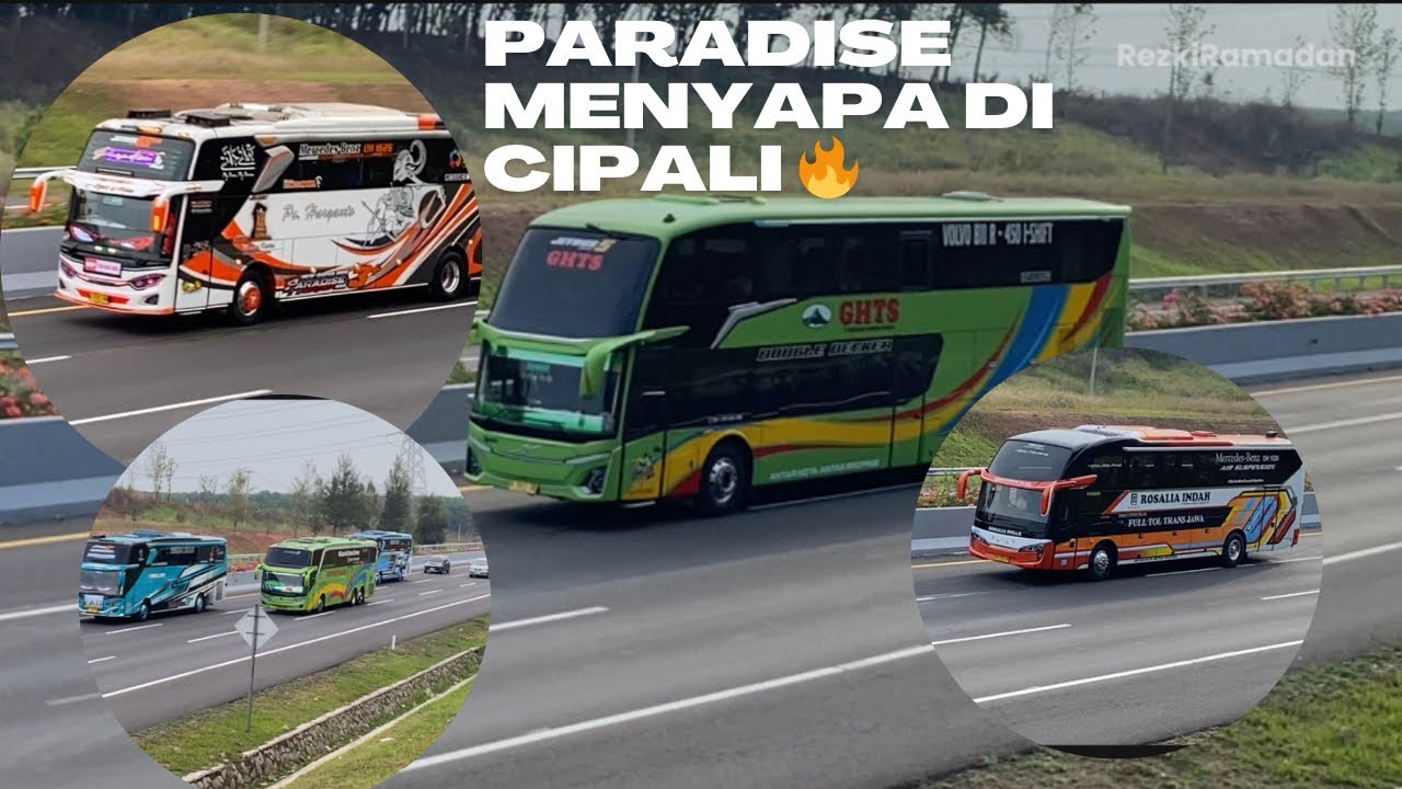 Hunting di Cipali Angkatan Sore #busmania