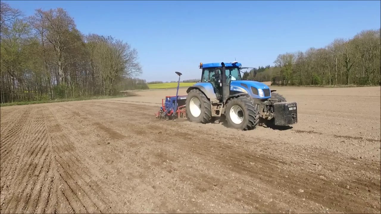 Skovlej forårs såning