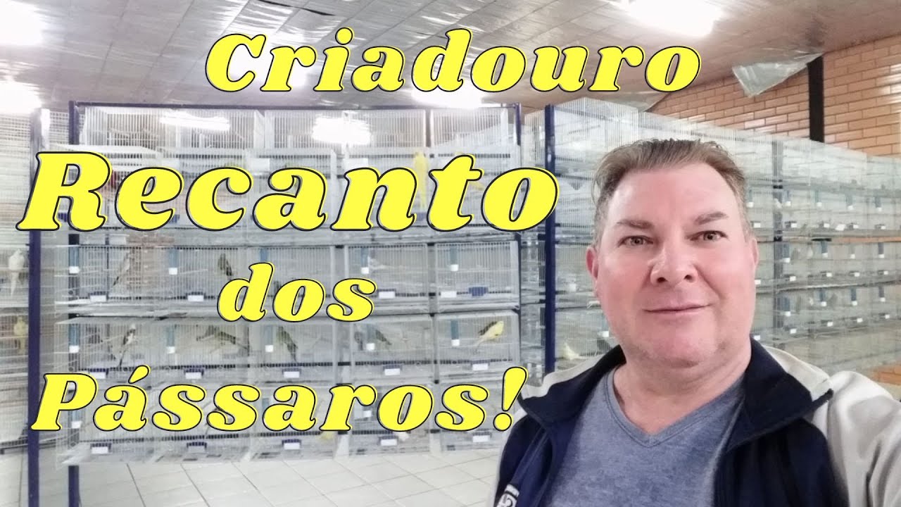 Especialista em Agapornis Roseicollis!!!