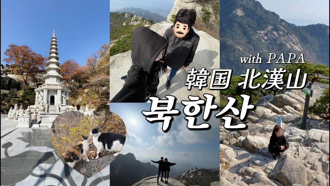 父と韓国で登山してみた🏔feat.猫