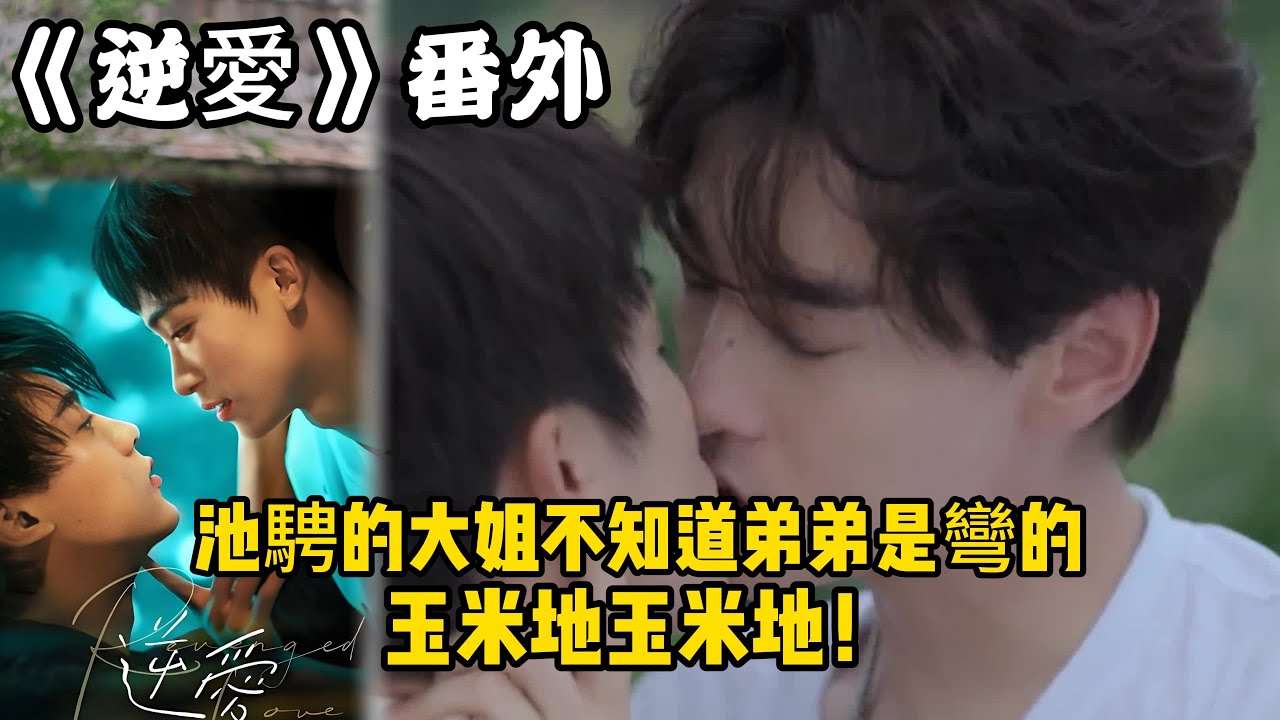 《逆愛》番外！：（9）池騁的大姐不知道弟弟是彎的？玉米地玉米地！#田栩宁 #梓渝 #吴所畏 #池骋 #逆爱 #revenged
