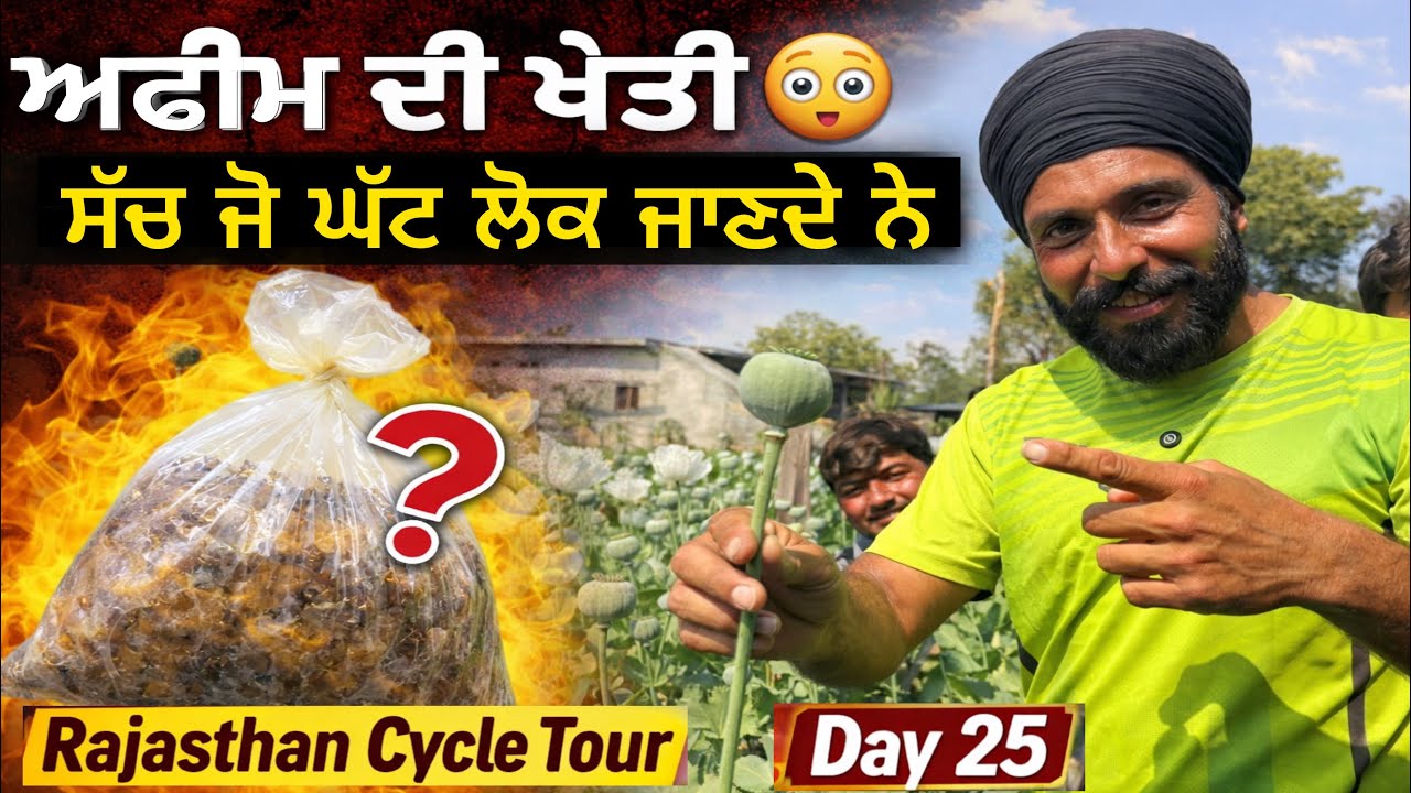 ਡੋਡਿਆਂ ਦੀ ਖੇਤੀ ਦਾ ਸੱਚ ਜੋ ਬਹੁਤ ਘੱਟ ਲੋਕ ਜਾਣਦੇ ਨੇ । Rajasthan Cycle Tour Day 25 Gur Brar Vlogs