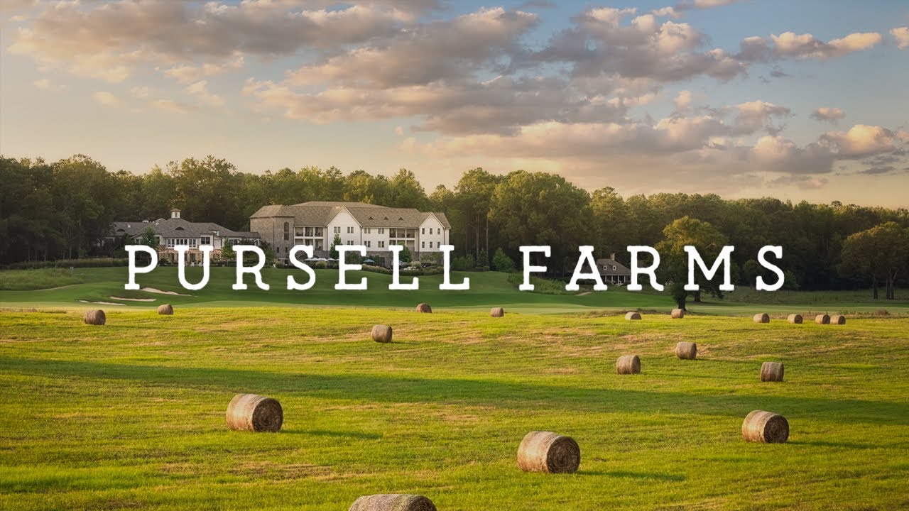 Pursell Farms | Стоит ли это шумихи?