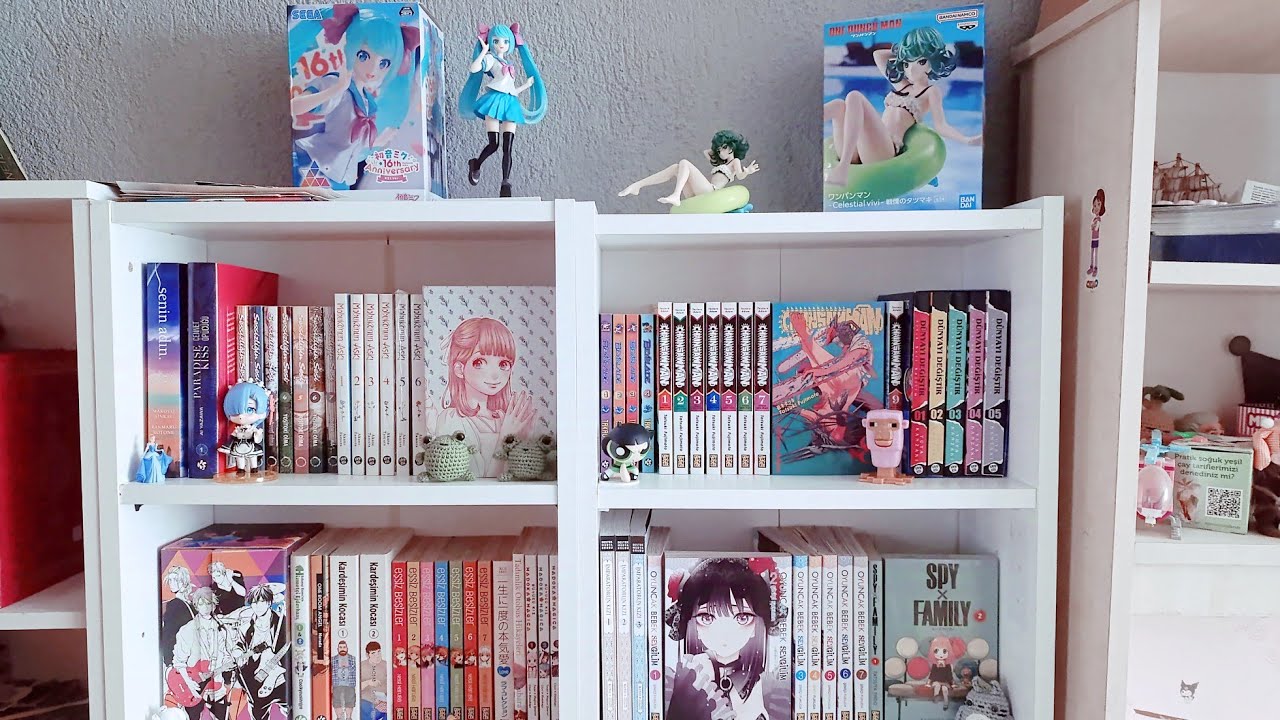 Manga koleksiyonu düzenleme ve kitaplık turu