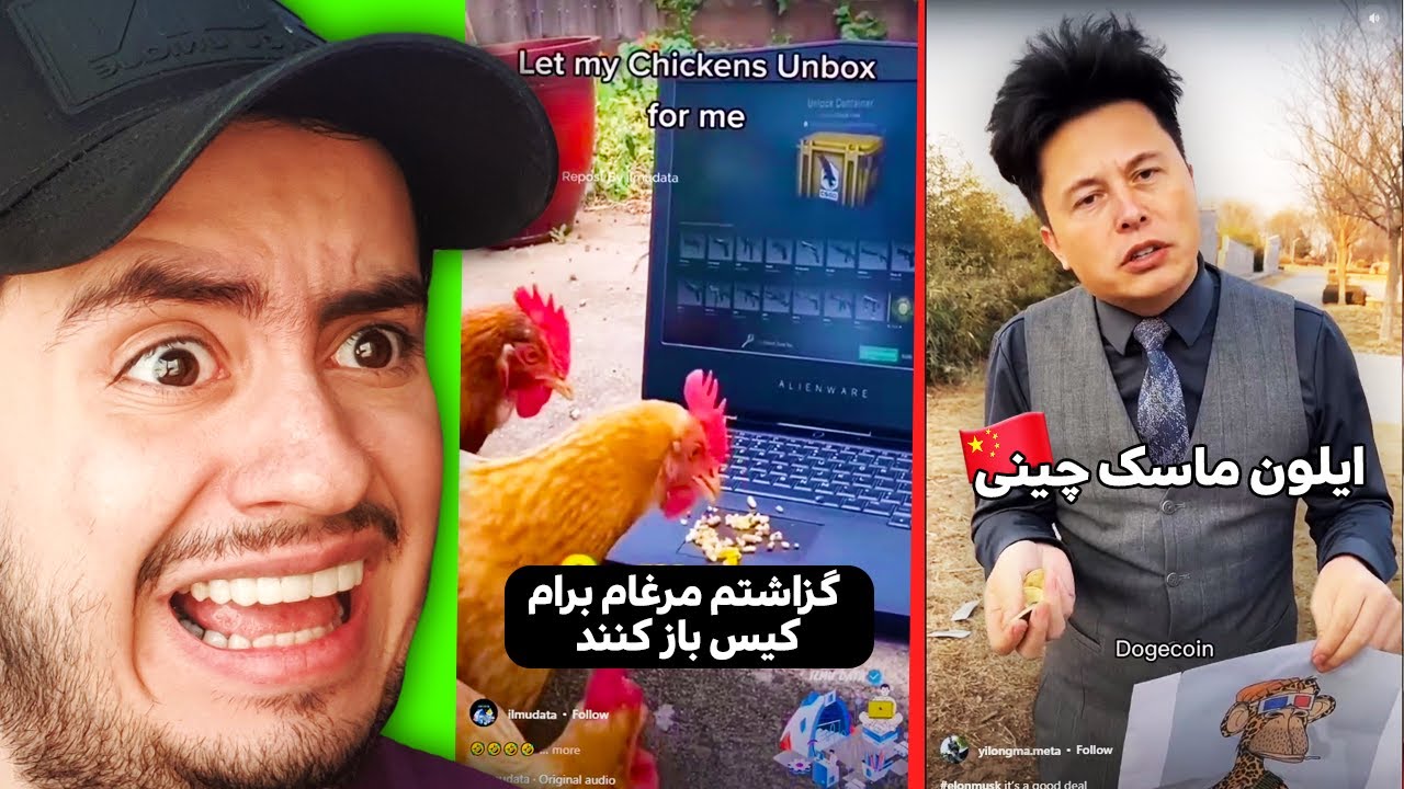 ریلز های اینستاگرامی که باعث شدن ریزش موهام قطع بشن
