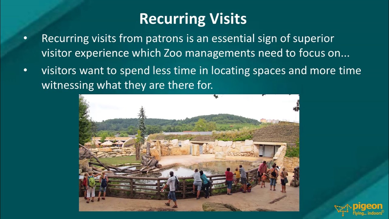 Five Visitor Experience Signs Zoo Management Should Focus On - Pigeon