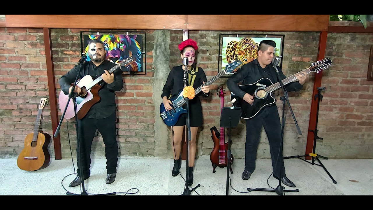 El Capiro  🌳🎸❤🎵🎤  (En Vivo)