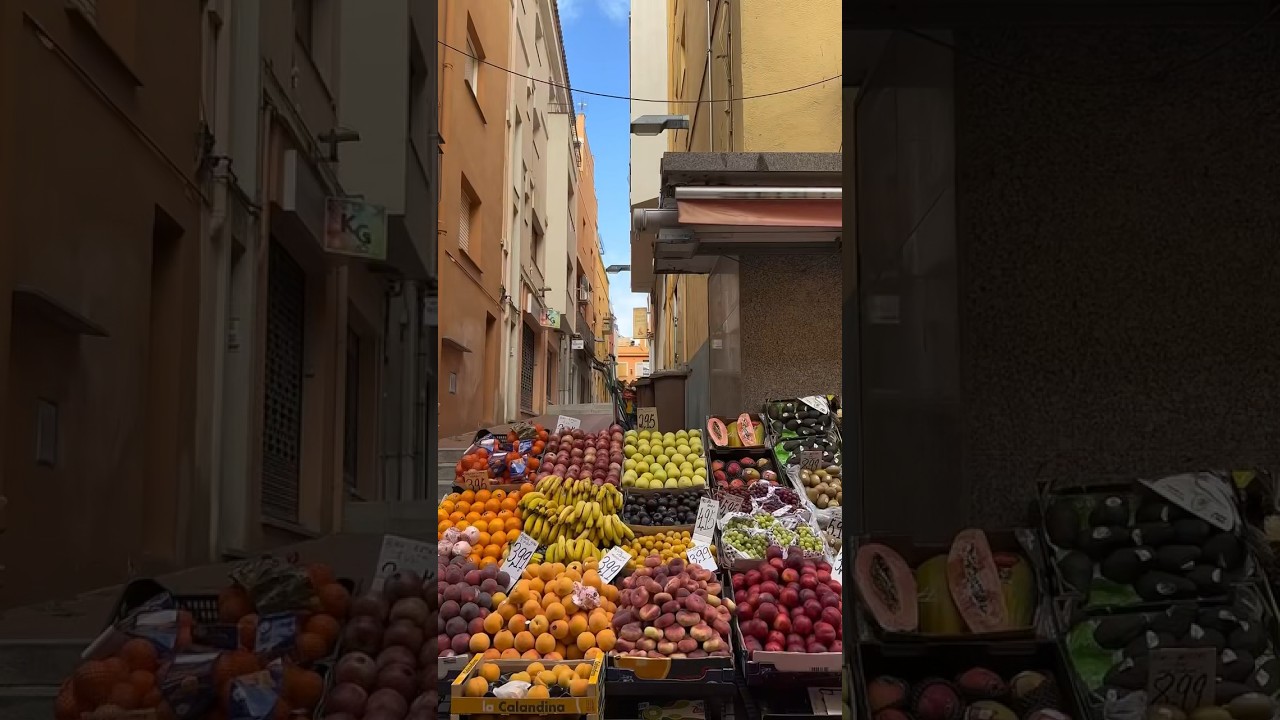 visiting Palamos be like ✨🇪🇸 #travelvlog #travel #spain #travelspain #travelworld #travellife