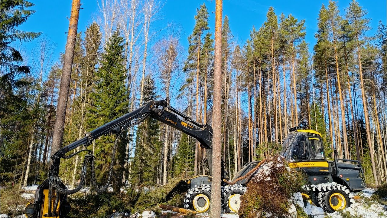 sattu pääsijäisen☀️ kunniaksi Järeää männikköä  Ponsse Cobralla Active Crane  H6