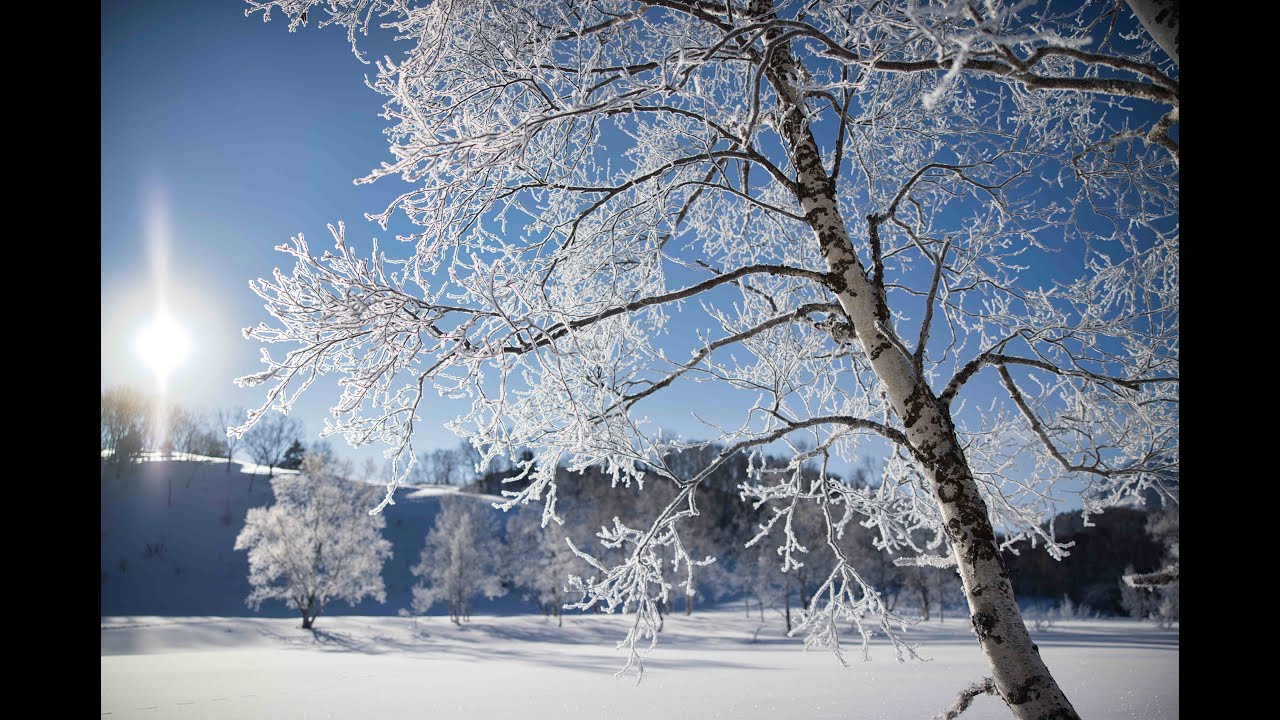 1月写真旅 　霧氷の 田ノ原湿原