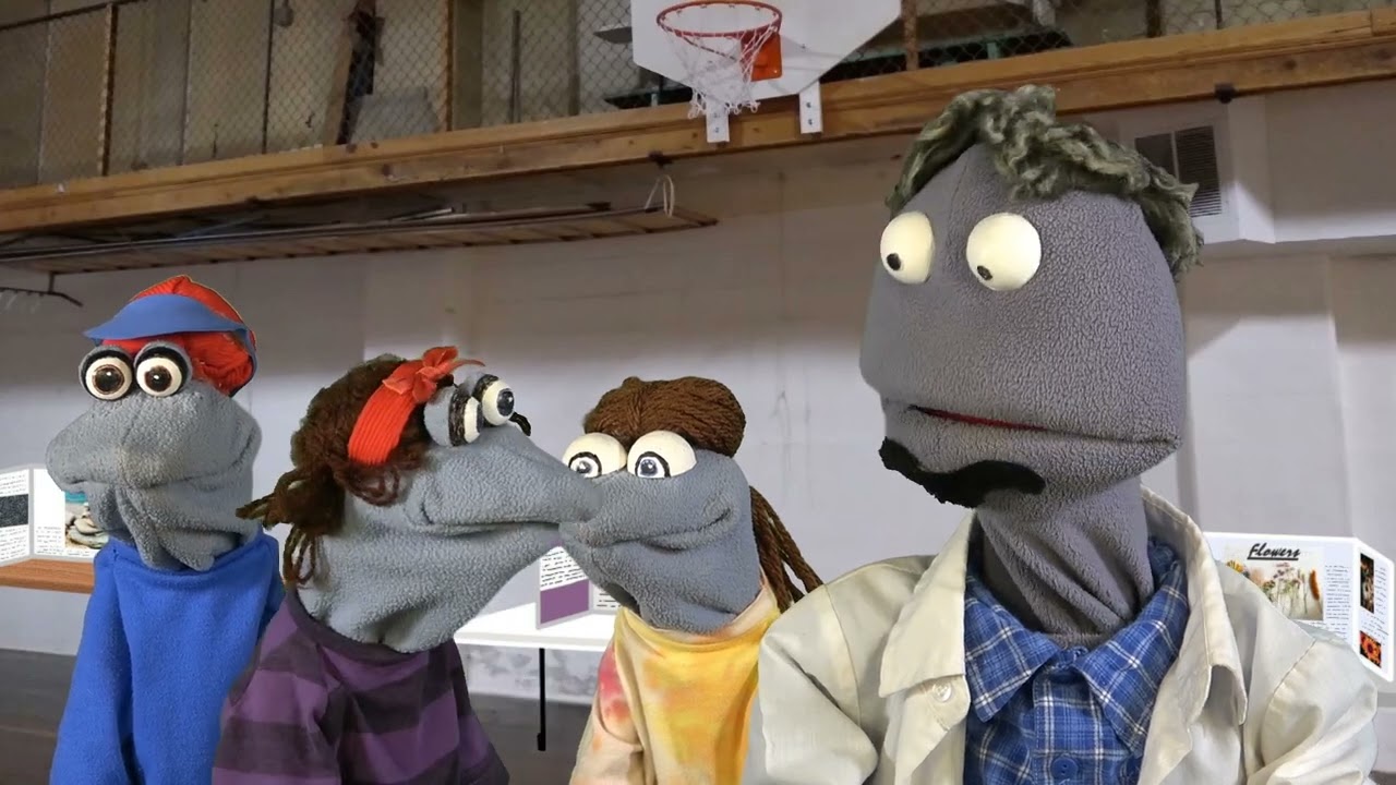 Creation Investigation Part 2 - S16E07 In the Beginning Part 2