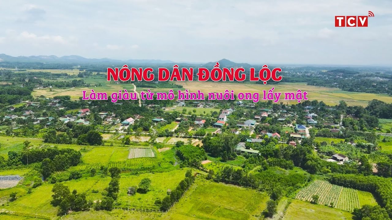 Nông dân Đồng Lộc làm giàu từ mô hình nuôi ong lấy mật