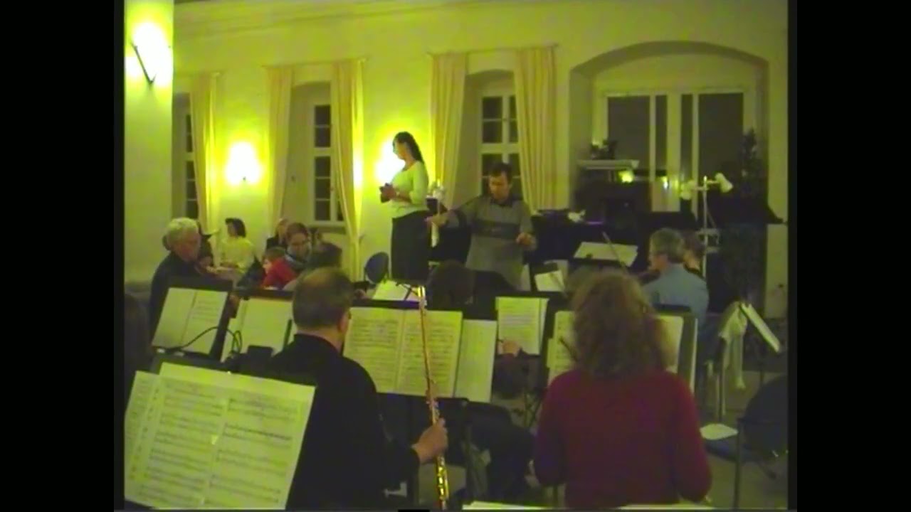 Mozart Magic Flute Revenge aria | Rachearie Mozart Zauberfl&ouml;te - Sathya Bernhard + DWOC