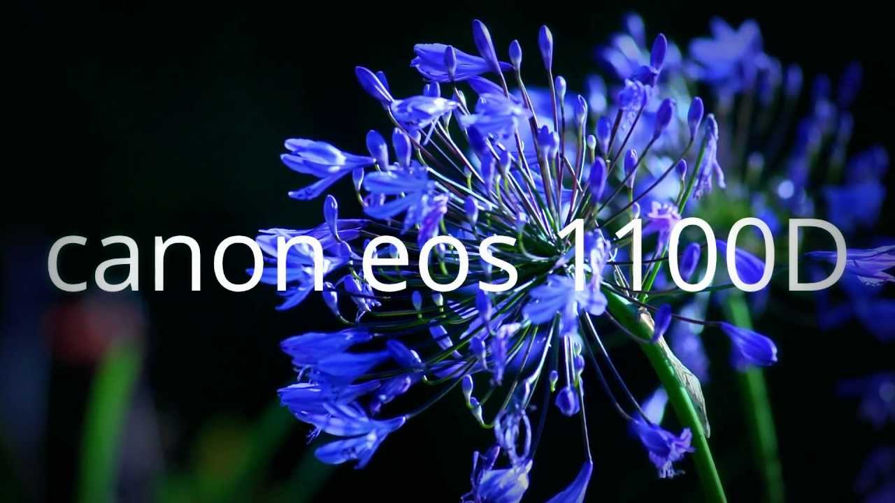 canon eos 1100D.