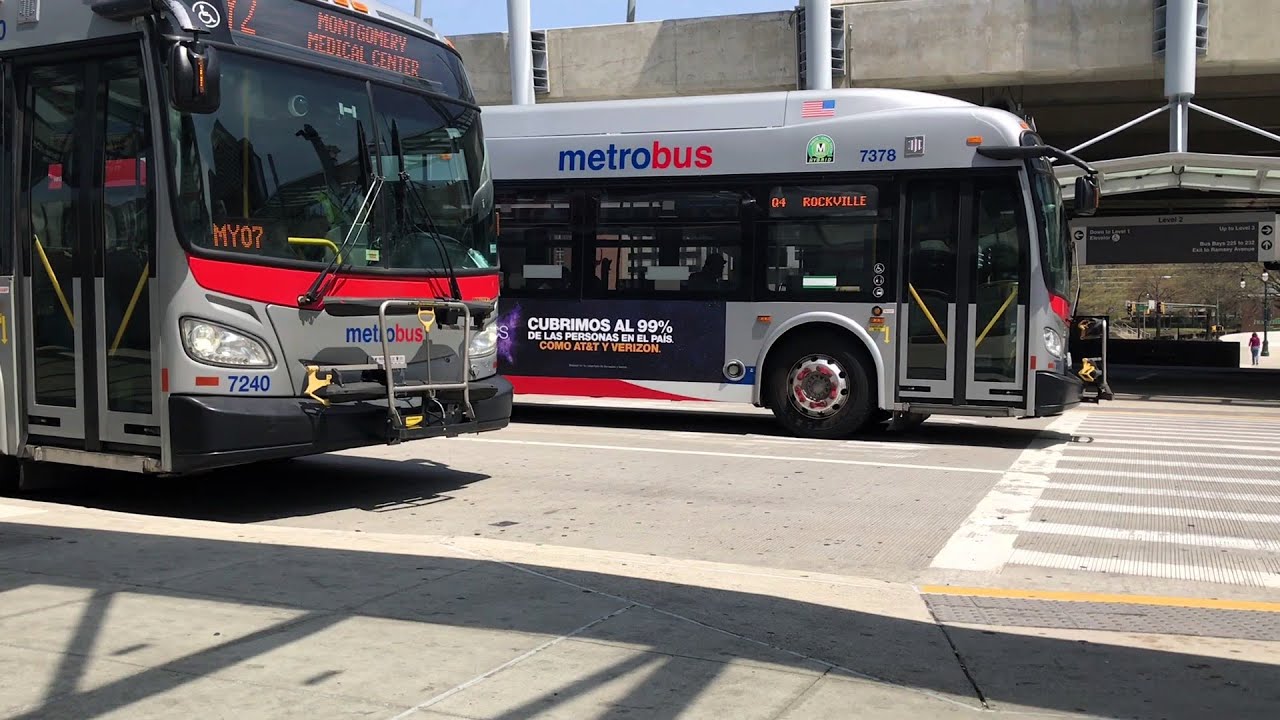WMATA New Flyer Metrobuses & MCDOT Ride-On Gillig Buses | Transit Action Series