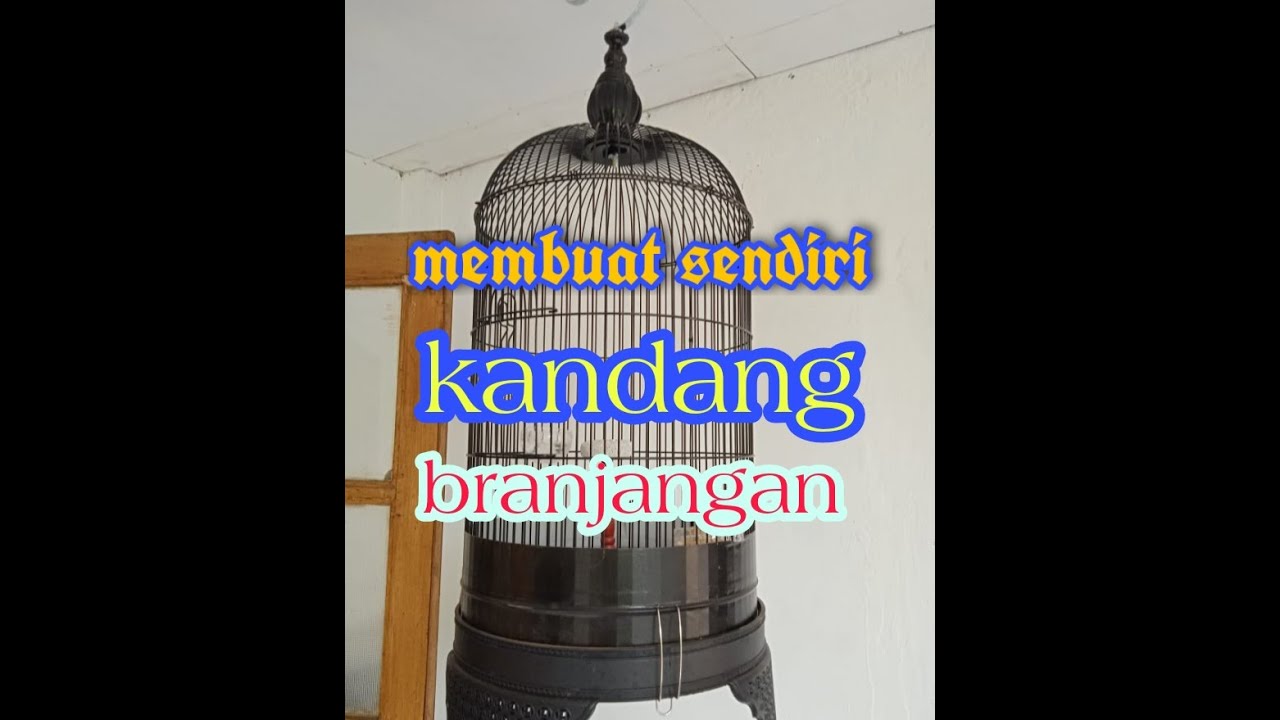 Tutorial membuat sangkar branjangan dari kandang lovebird
