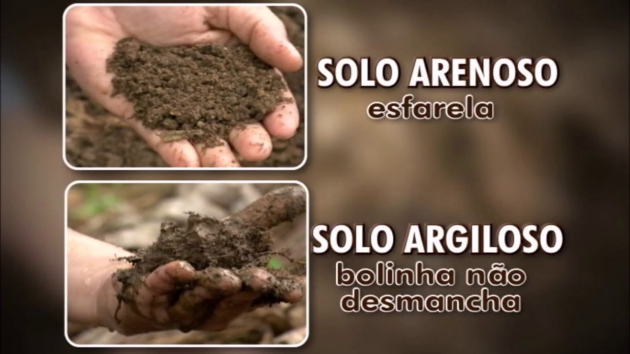 Conhecendo a Textura do Solo