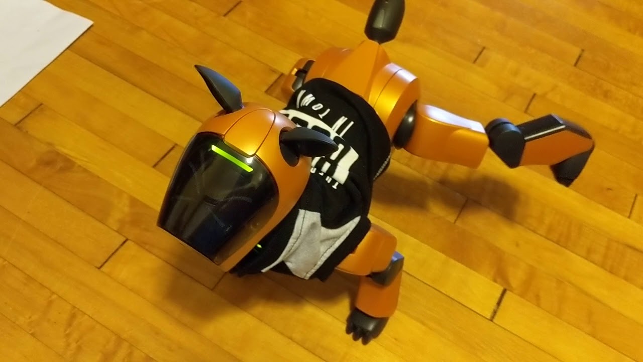 Aibo Spring 2001 Demo