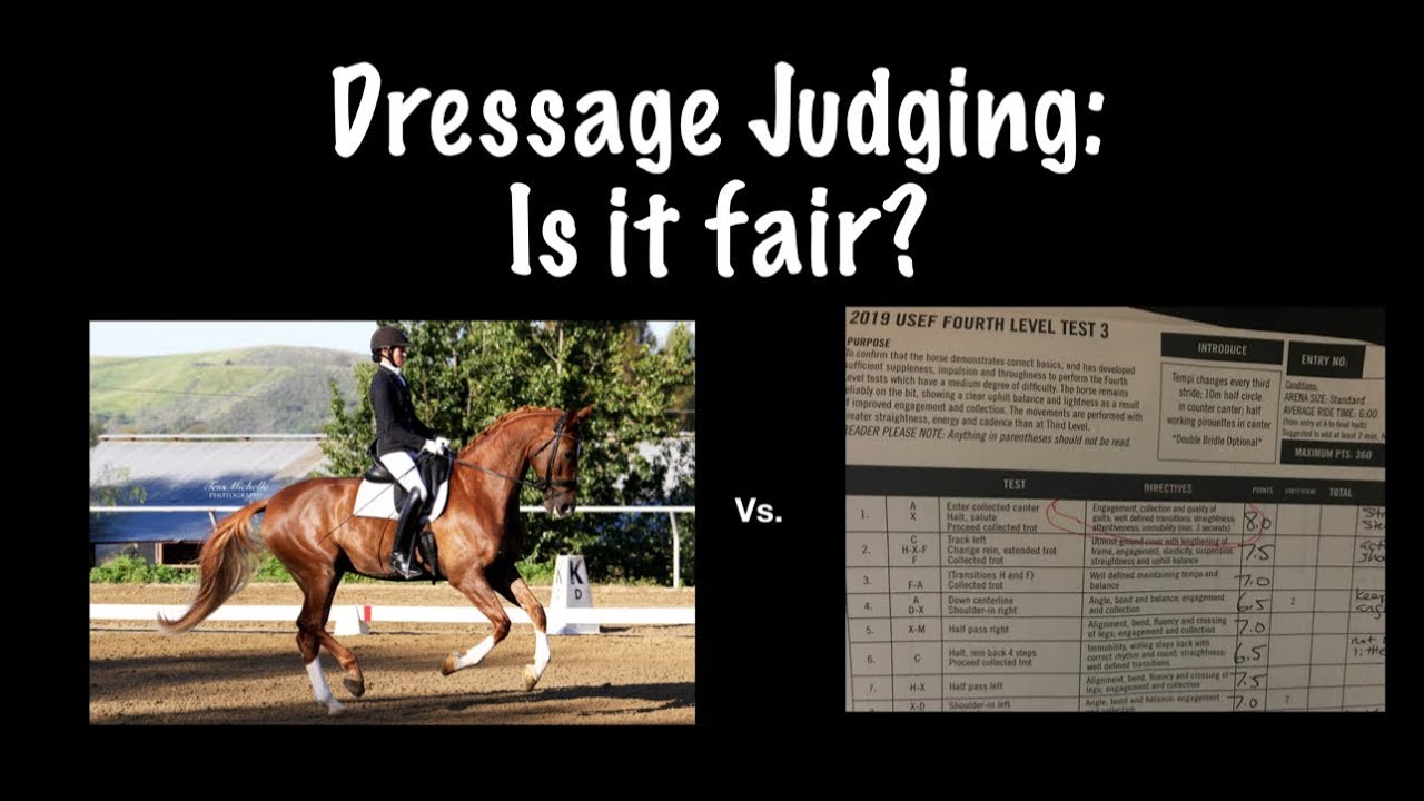 Dressage Judging: Is it fair?