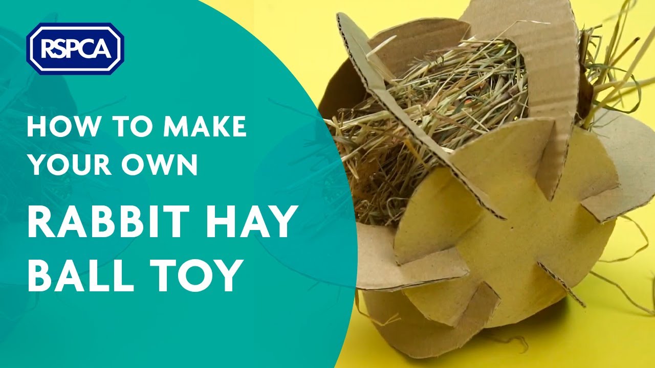 DIY Cardboard Hay Ball Toy