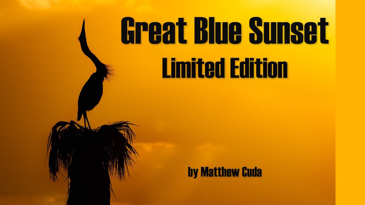 Great Blue Sunset (Limited Edition) - How I made the shot and how you can own one