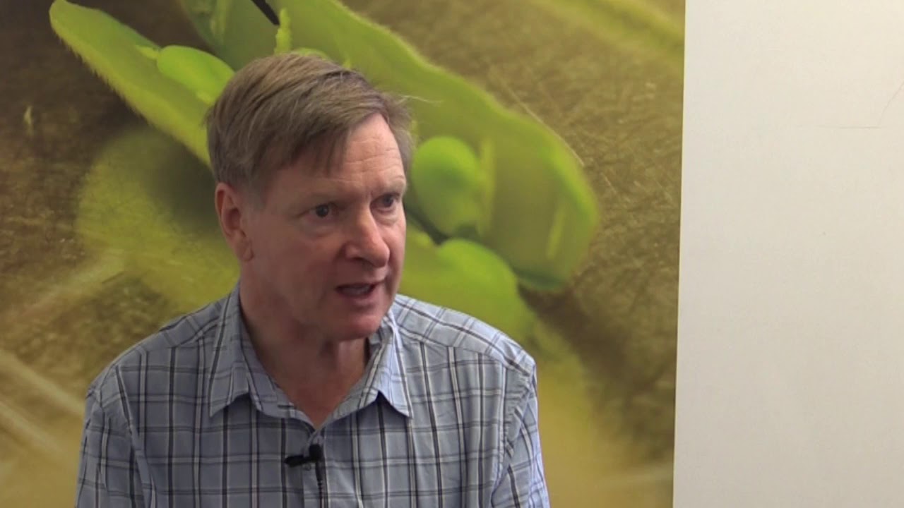 Chris Preston, Bendigo GRDC Update insists on three tactics to get weed numbers down