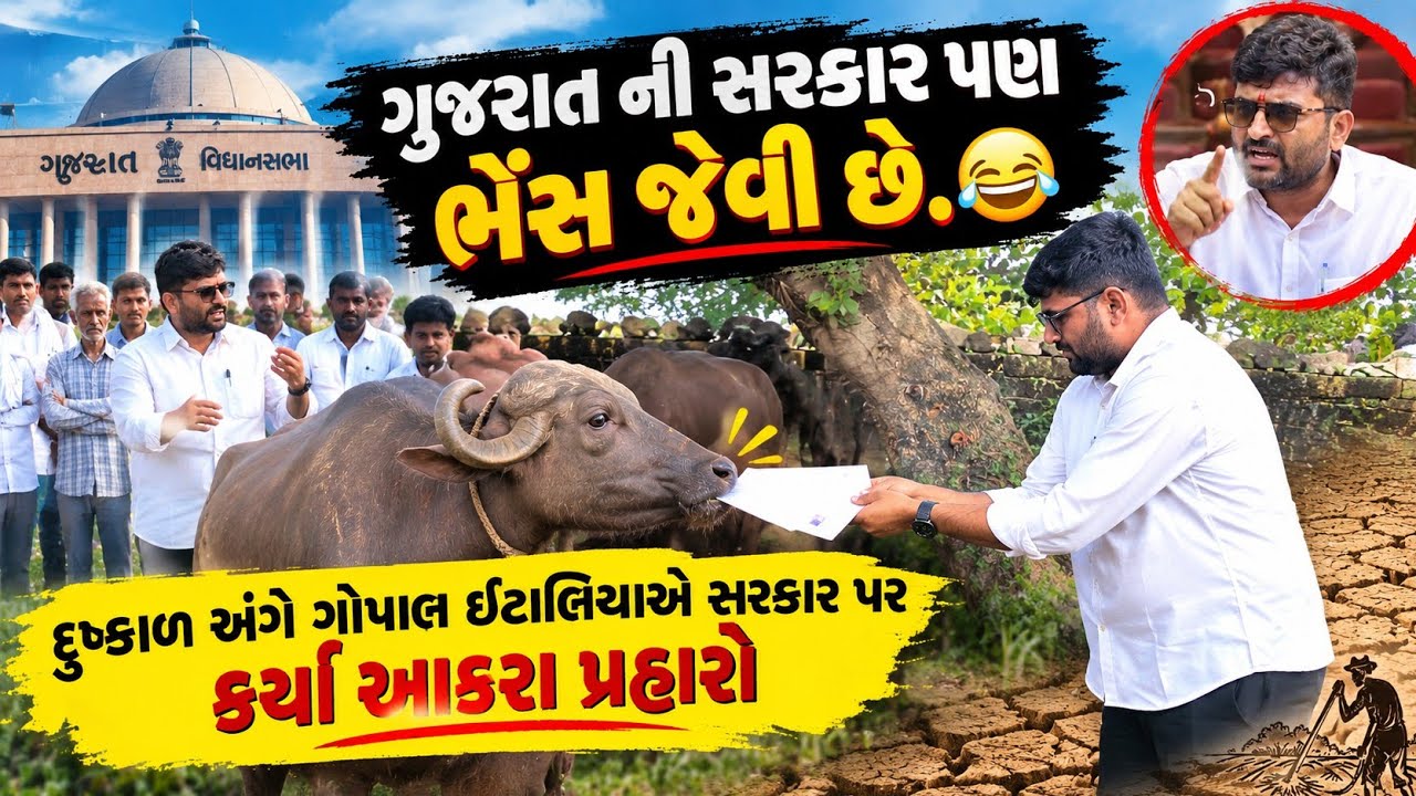 gopal italia video | ગોપાલ ઇટાલિયા એ કેમ ગુજરાતની સરકાર પણ ભેંસ જેવી છે એમ કહ્યું 