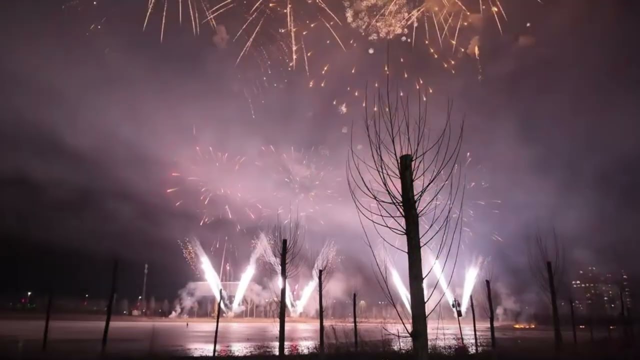 Beautiful Firecracker #firecracker #fireworks #happynewyear #newyear #2026