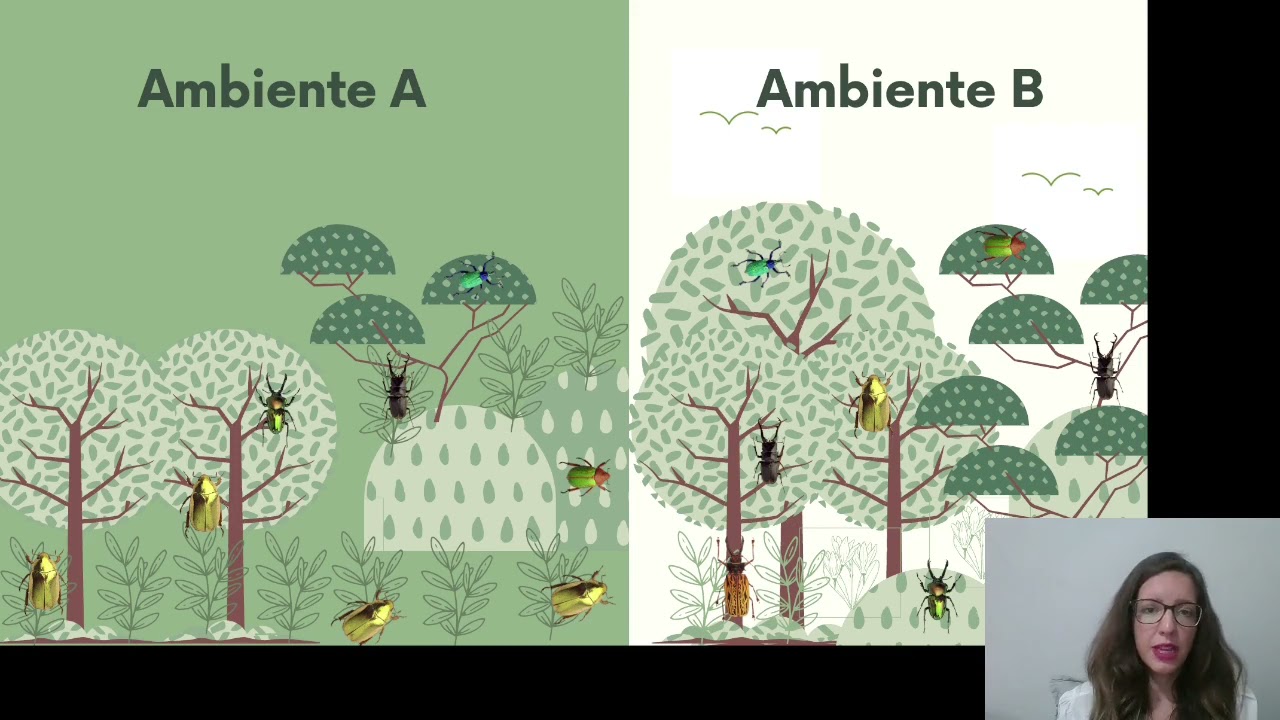 Biodiversidade: Como medir?