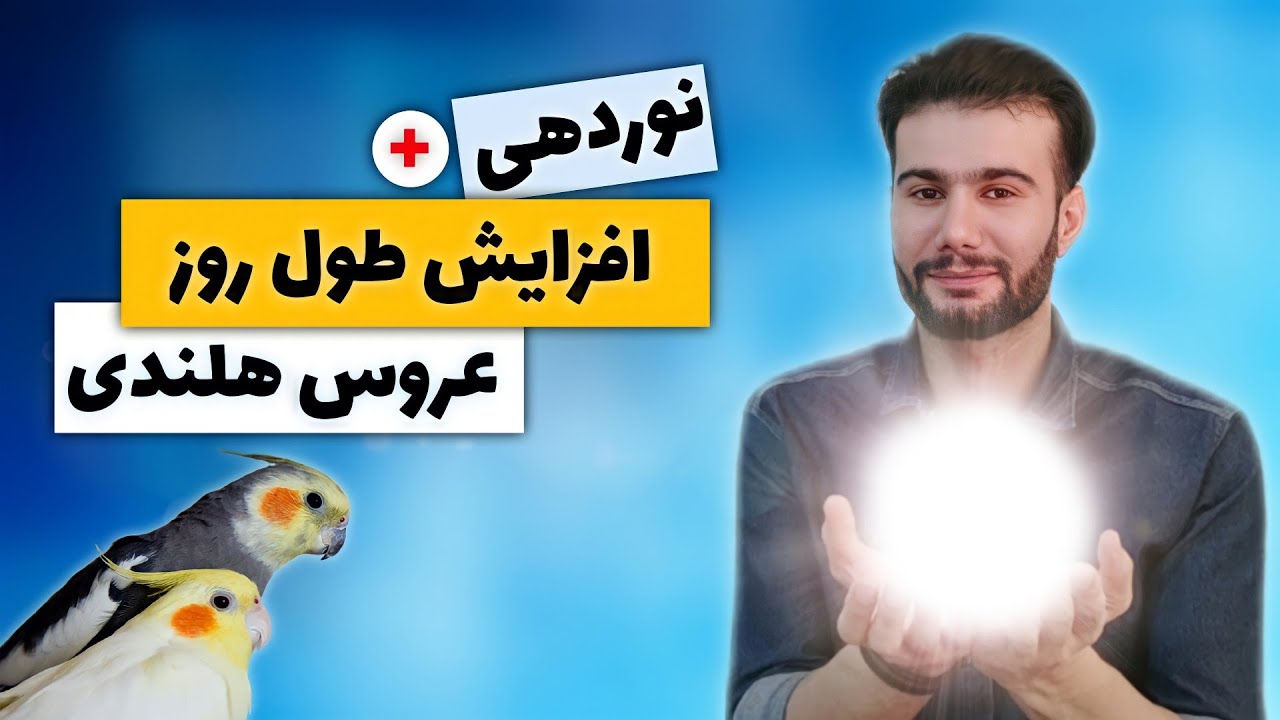 نوردهی و افزایش طول روز عروس هلندی برای فصل جفت